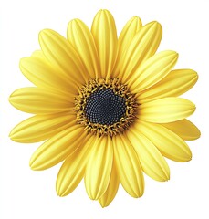 Poster - Stunning close up of a bright yellow sunflower showcasing its vibrant petals and dark center for a cheerful floral display : Generative AI