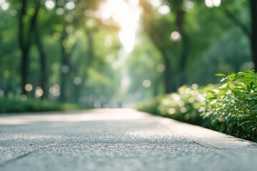 Poster - neatly swept city park pathway with sunlight filtering through trees framed with blurred greenery in