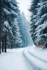Poster - snowy road with fresh tire tracks leading into forest image capturing contrast of white snow and bla