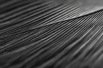 Poster - capture close-up of monochrome texture highlighting intricate patterns in single color scheme