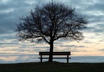 Aufkleber - Charming silhouette of a tree and empty bench against a tranquil sky adorned with soft clouds at twilight : Generative AI