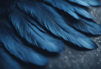 Aufkleber - swan macro backdrop feather blue feathers background vintage dark texture paint group art pattern dr