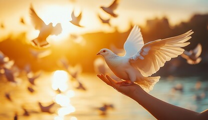 Poster - Elegant white dove taking flight from a hand against a breathtaking sunset over water : Generative AI