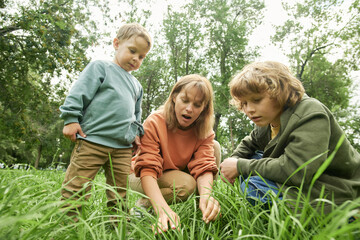 Wall Mural - Low angle shot of mother with two young children sitting in long green grass and exploring nature in forest