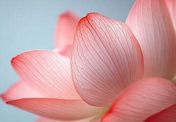 Poster - Charming view of a pink lotus flower showcasing the fine details of the petals against a soft backdrop : Generative AI