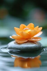 Poster - Zen Stone and Lotus Flower Blossom with Water Droplets Symbolizing Peace Harmony and Meditation for Wellness Promotion : Generative AI