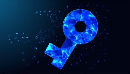 Low Poly Key Design. Security key symbol key design with neon style lighting design.