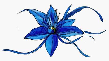 Poster - a single blue flower sits on a plain white background, perfect for use in designs and graphics