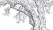 © Merianto - Detailed illustration of an olive tree.  Mature branches and trunk
