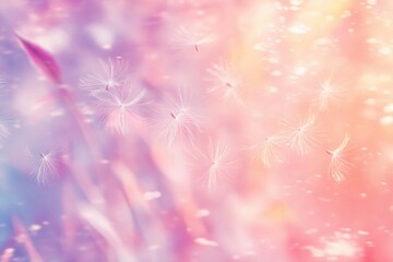 Poster - Floating dandelion seeds dance gently across a pastel meadow under soft sunlight in early spring