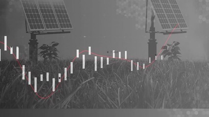 Poster - Solar panels in field with data graph animation over grass