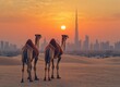 © oksa_studio - Camels observing dubai skyline at sunset in desert landscape