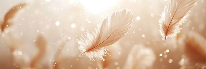 Leinwandbilder - Floating feathers glisten softly in the light against a creamy background, creating a serene and magical atmosphere