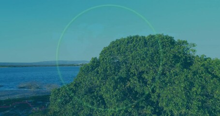 Poster - Green circle and financial data animation over lush coastal landscape