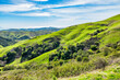© Volodymyr - Breathtaking coastal hills of Cambria, California, with lush green landscapes overlooking the Pacific Ocean. Rolling terrain, scenic nature