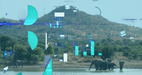Poster - Elephants by water with data processing animation over mountainous landscape
