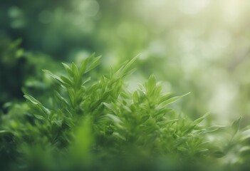 Wall Mural - green plants background abstract design fresh environment shiny field template closeup bright ecolog