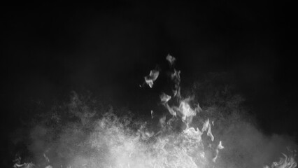 Wall Mural - blurred texture of burn fire with particles embers. blur flames on isolated black background. textur