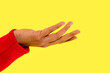© Iryna - Open hand gesture against a bright yellow background highlights expression and communication in modern art