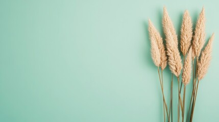 Poster - Modern Minimalist Floral Composition with Sage Green Background and Dried Pampas Grass