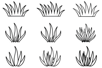 Seagrass Beds Line Art Illustration Creating Natural Oceanic Beauty  