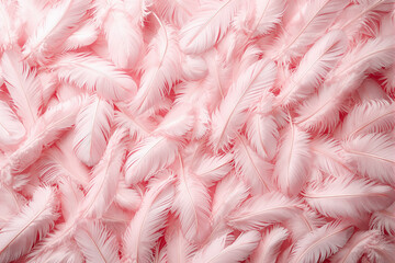 Poster - Soft pink feathers background with delicate light texture.