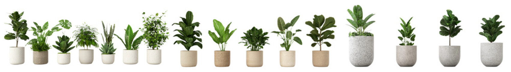 Poster - Minimalist mockups featuring various indoor plants in simple pots showcasing natural greenery and modern design elements