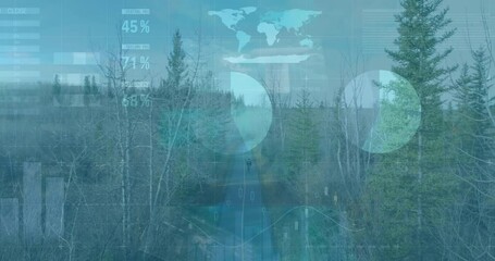 Poster - Global data analytics animation over forest landscape with trees and path