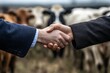 © Gerard - Business agreement handshake in rural cattle farm environment