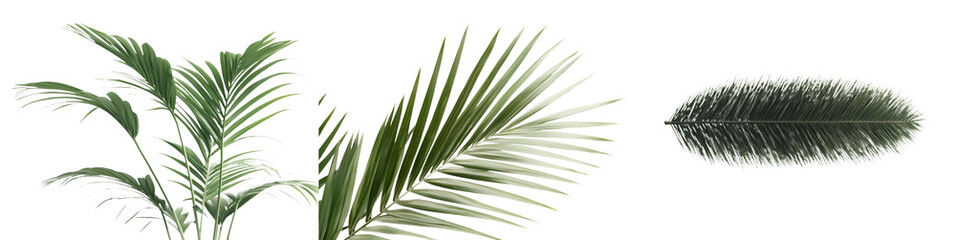 Poster - Minimalist mockups of green palm leaves against a white background creating a serene and elegant ambiance