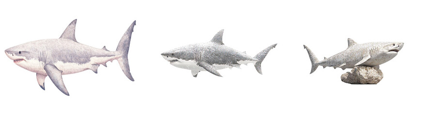 Poster - Minimalist mockups showcasing isolated shark designs in various poses on a clean white background