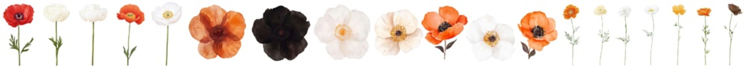 Poster - Collection of isolated minimalist mockups featuring various flowers in vibrant colors and subtle backgrounds