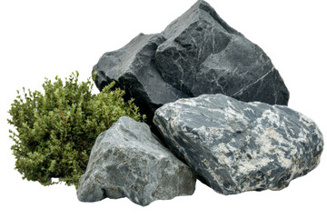 Aufkleber - Minimalist mockups featuring isolated rocks and moss on a white background for artistic and display purposes