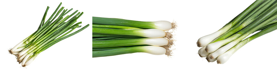 Aufkleber - Fresh green onions arranged in isolated minimalist mockups showcasing vibrant colors and textures on a clean background