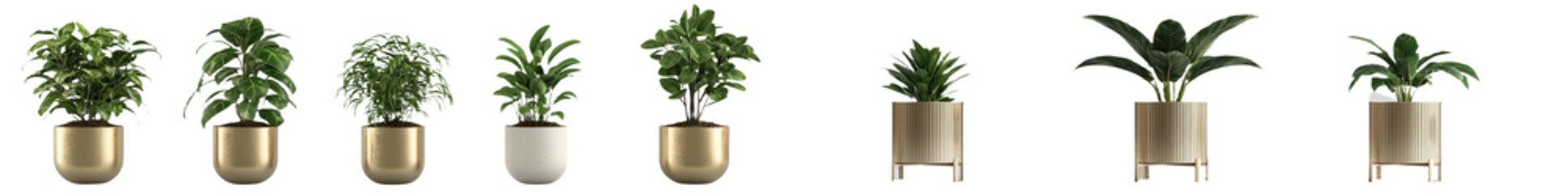 Poster - Minimalist mockups of isolated indoor plants in decorative pots showcasing modern design elements and greenery