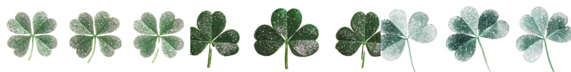 Poster - Minimalist mockup showcasing isolated clovers in varying shades of green against a clean white background