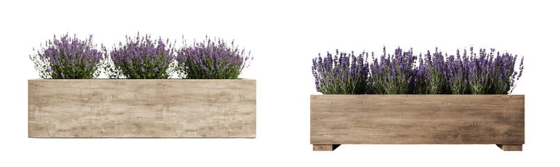 Poster - Minimalist mockups showcasing lavender planters in natural wooden textures with vibrant plants