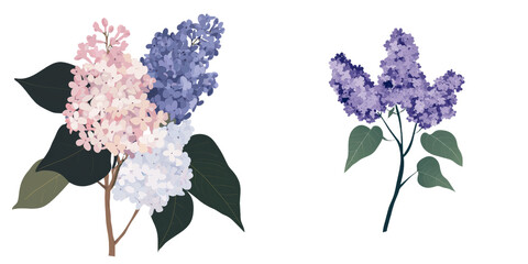 Poster - Isolated minimalist mockups of lilac flowers showcasing various shades and forms on a clean background