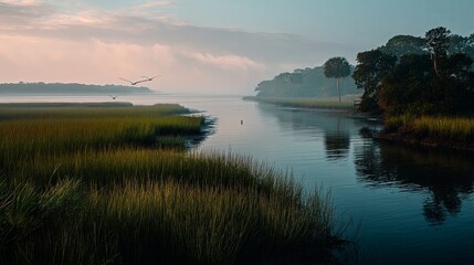 Fototapete - Calm coastal marsh at sunrise, mist hovering over tall grasses, and egrets wading silently