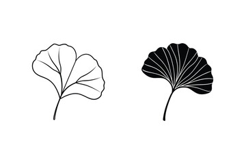 Poster - Ginkgo Biloba Leaves Graphic Outlines Botanical Illustration On White Background