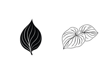 Poster - Artistic Leaf Illustration Minimalist Botanical Design Isolated On White Background