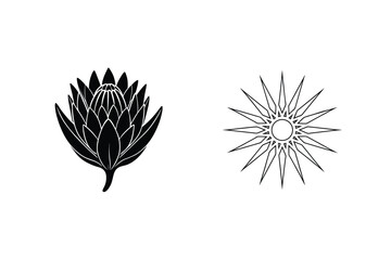 Poster - Vector Illustration Of Protea Flower And Sun Design In Black And White