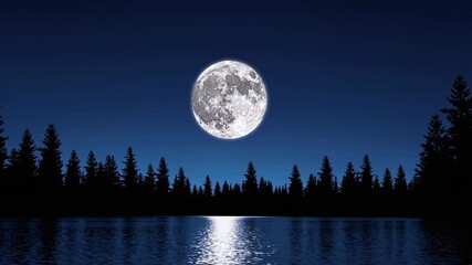 Poster - Moonlight over calm lake surrounded by dense forest at nighttime