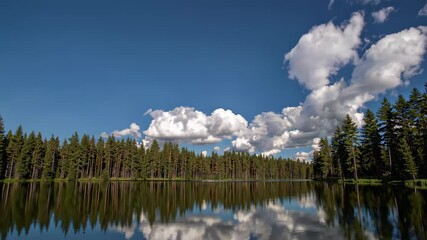 Poster - Calm water reflects clouds and trees in serene forest landscape during daytime