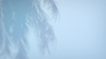 Wall Mural - 3D animation - Shadow of palm leaves moving in the wind in a loop on an empty light blue wall at sunset.