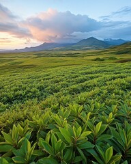 Wall Mural - Serene landscape featuring lush green vegetation rolling hills and majestic mountains under a pastel sunset sky offering tranquility and natural beauty