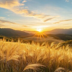 Wall Mural - Golden hour illuminates a field of tall grass with mountains and a serene sky during a peaceful sunset