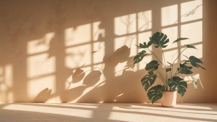 Poster - Empty Beige Room with Peach Fuzz Wall Studio Background, Lighting and Leaf Shadows on Table Texture, Backdrop for Cosmetic Product Showcase