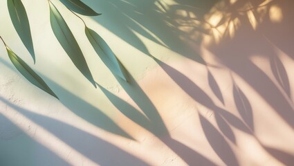 Fototapete - Solid wall texture featuring abstract diagonal shadows from tree leaves.