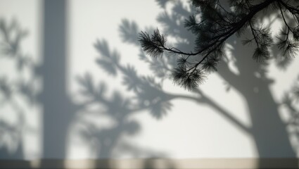 Aufkleber - Natural pine tree branch's gray shadow cast on a white wall.